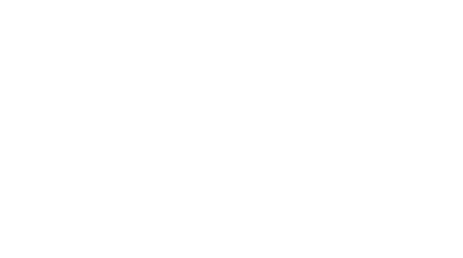 Negro Fashion