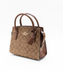 Coach andrea carryall Brown Bag
