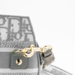 Dior Small camp Bag Blue Bag