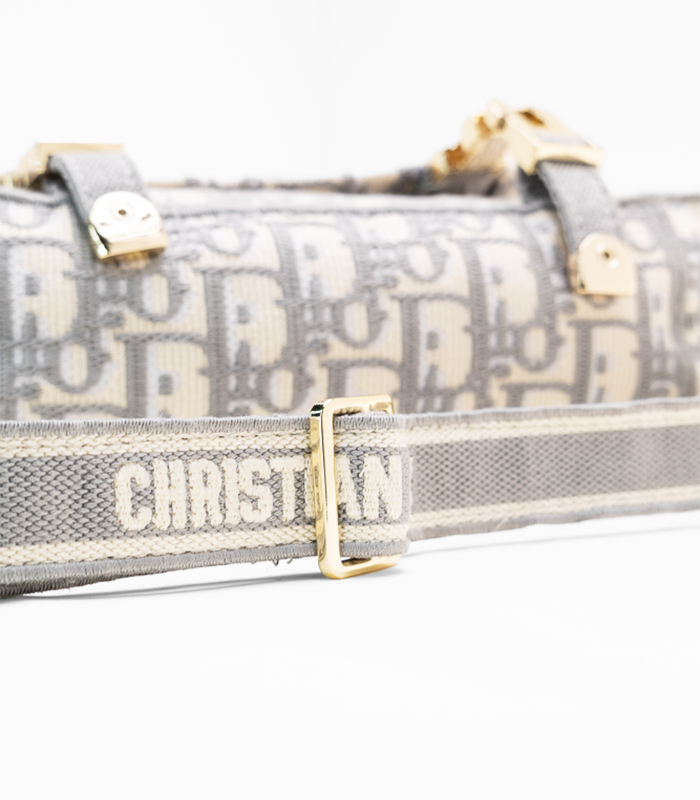 Dior_MiniGrey_MiniBag_4