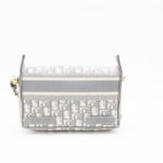 Dior Small camp Bag Blue Bag