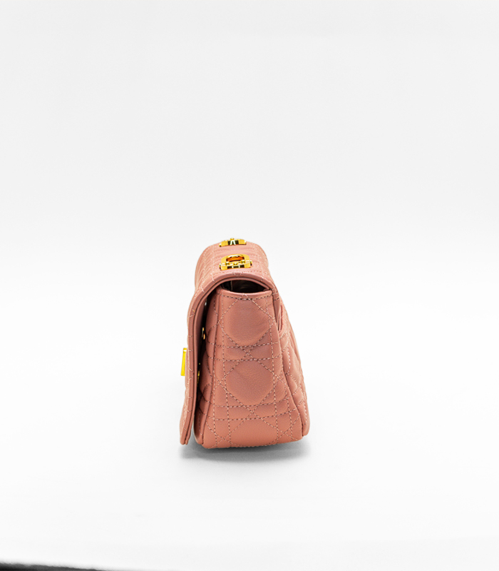Dior_Pinky_Bag_5