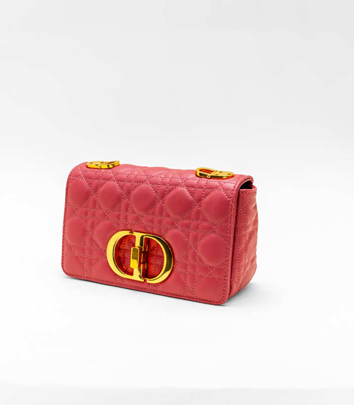 Dior_Red_Bag_1
