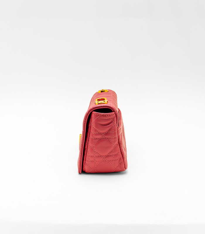 Dior_Red_Bag_2