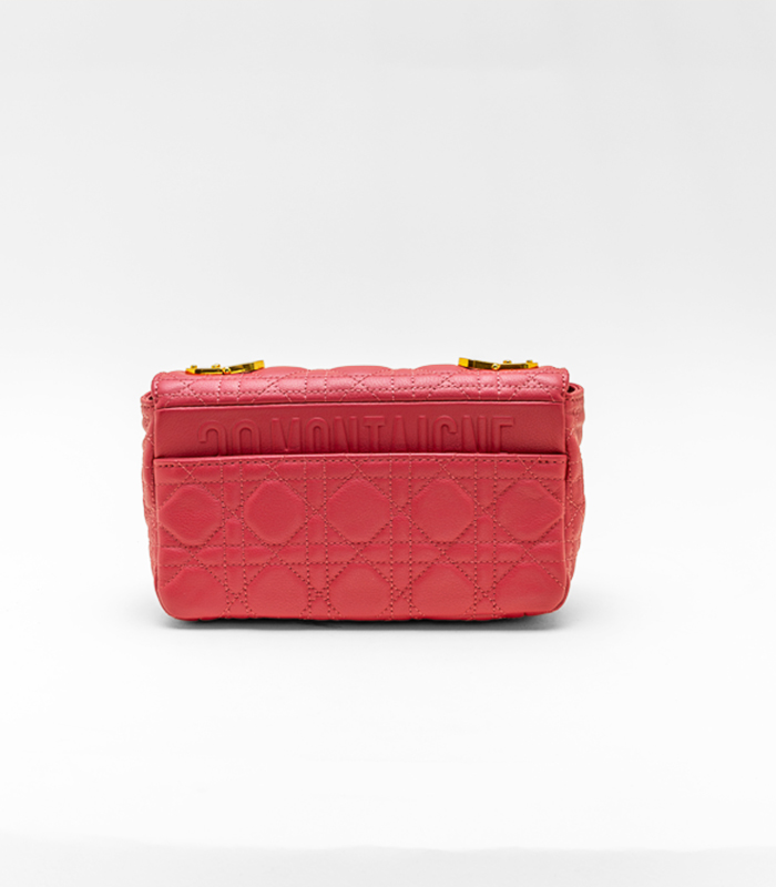 Dior_Red_Bag_3