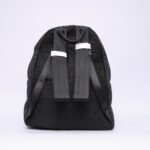 Dior Back Black Bags