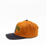 Nike Jordan Brown Cap