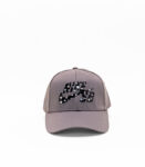 Nike Gray SB Cap