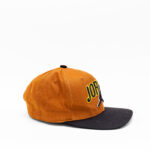 Nike Jordan Brown Cap