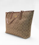 Coach Big Browny Bag
