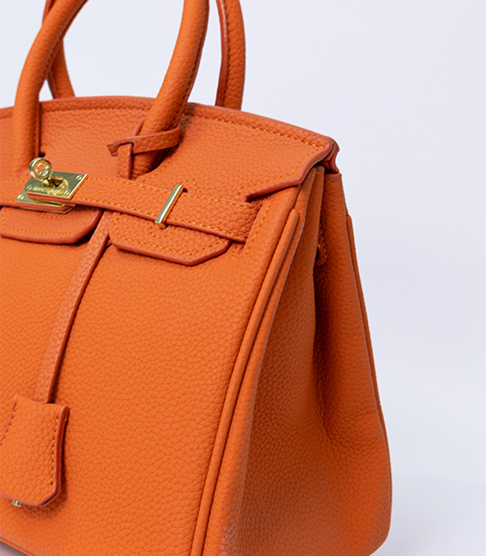 Hermes Orange Bag (5)