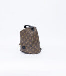 Louis Vuitton Monogram Canvas Mini Palm