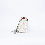 Louis Vuitton Onthego PM Bink Bag