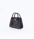 coach andrea carryall